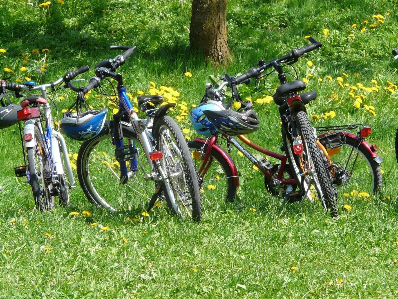 Borgo Carida - Green Family Holidays Zaccanopoli Buitenkant foto
